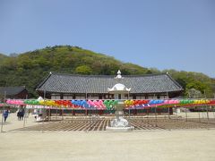 2017春　韓国 - 3　コチャン（高敞）その２　ソヌンサ（禅雲寺）