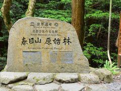 嫁はん　　世界遺産の春日山原始林ハイキングと春日大社に、行きませんか？