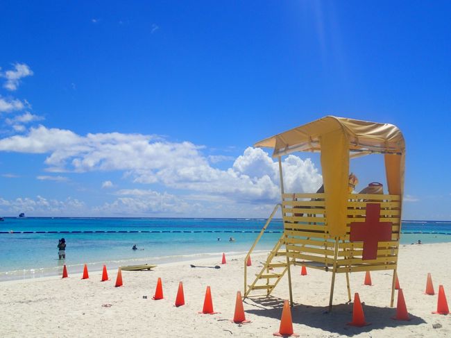 3月のセブ島旅行から引き継き　「青い海が見たくて」、「青い海で泳ぎたくて」サイパンに行くことにしました。<br /><br />5月のサイパンは、乾期で海が安定しお花も咲いているベストシーズンとのことです。<br />私にとってサイパンは、はじめて訪れる場所なので期待が高まります！<br /><br /><br /><br /><br />★　日程　2017年5月30日～6月3日　（4泊5日）<br /><br />1日目　午前11時30分発～午後9時20分着<br />　<br />　ユナイテッド航空　　中部国際空港発グアム乗り継ぎ（4時間25分の辛い乗り継ぎ）<br /><br />・セントレアで外貨受取<br />・グアム乗り継ぎ<br />・ひまわりホテルの送迎（15ドル）<br /><br />2日目（5月31日）　<br /><br />・ダイビング　1日目「ウイング」「スポットライト」午後「グロット」<br />　ダイビングショップ　「アクアマリン」利用<br />・ジョイフルディナーショー　(フェスタリゾート＆スパサイパンにて）55ドル<br /><br />3日目(6月１日）<br /><br /><br />・ダイビング2日目　「ナフタン」と「パイプ」<br />・マニャガハ島観光（送迎20ドル）<br />・日本刑務所跡、彩帆香取神社等<br />・ガラパンナイトマーケット<br /><br /><br />4日目(6月2日）<br /><br />・ダイビング　テニアン「フレミング」「テニアングロット」「ラウラウビーチ」<br />・アクアリゾートクラブでのシーフードナイトビュッフェ　35ドル＋10％サービスチャージ　ドリンク込み<br /><br />5日目　<br /><br />・島内散策　<br />・お土産購入<br />・午後12時半ホテル出発<br /><br />　PM2時20分発～PM7時55分着　ユナイテッド航空　グアム乗り継ぎ<br />　<br />　往復料金　マイレージ利用（25000マイル）<br /><br />★　宿泊先　ひまわりホテル　28,896円（4泊）<br /><br />★　両替レート　111.425円（マネーパートナーズ利用＋500円手数料）