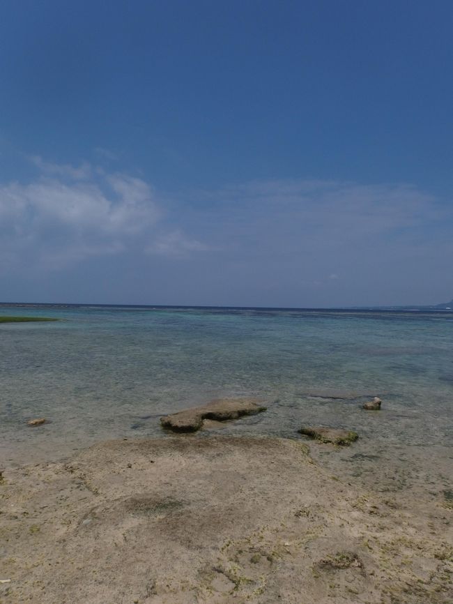 いつも上空付近は通過していたのですが、地を踏みしめるのは初めてです。<br />梅雨ど真ん中の沖縄。<br />しかも2泊3日ですが観光できるのは、ほぼ1日半しかありません。<br />レンタカーでさらっと回ってきました。