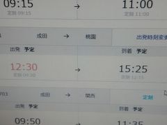 初海外一人旅はバニラの遅延で始まった・・・