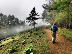 【山行記録18】東京都最高峰の雲取山へ登る～2017m標高年～