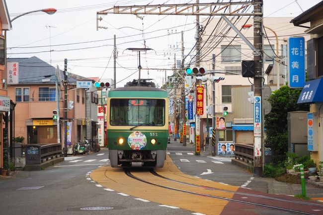 鎌倉 長谷寺のあじさいと江ノ電各駅下車徒歩10分の旅