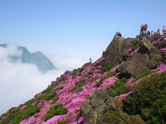 天空に咲くピンクの大花園を訪ねて（　九重連山に咲くミヤマキリシマ　前編　）