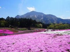 2017年4月埼玉秩父～芝桜を見に行こう！歴史ある秩父の旅＋ジョンソンタウン～＠小鹿荘