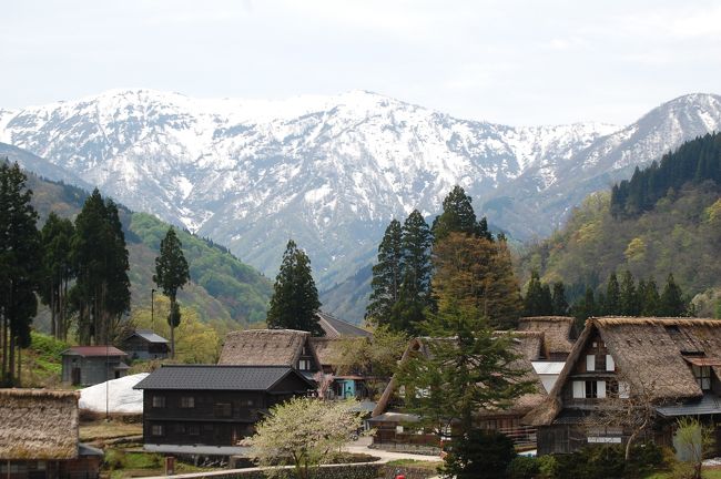 2017年のゴールデンウィーク後半は、富山を訪れました。富山へは10代の頃にユースホステルに泊まったのと、最近では北陸の通過地点として少し景色を楽しんだだけでしたが、今回は富山だけを目的として初めて本格的な観光をしました。<br />この時季の富山と言えば！「立山の雪の大谷ウォーク」そして「砺波のチューリップ」　2泊3日で雪と花めぐりの旅にマイカーで出掛けました。<br /><br />１日目・・立山駅から室堂往復（立山黒部アルペンルート）＆富岩運河環水公園　　宿泊は「天然温泉　富山剣の湯　御宿　野乃」<br />２日目・・となみチューリップフェア＆高岡山瑞龍寺　　宿泊は「源泉の一軒宿　ふくみつ華山温泉」<br />３日目・・五箇山　相倉合掌造り集落<br /><br />雄大な自然に美しい花畑、散居村の田園風景と合掌造りの山里の風景、そして豊富な美味しい食べ物・・富山って本当に素晴らしいところでした。