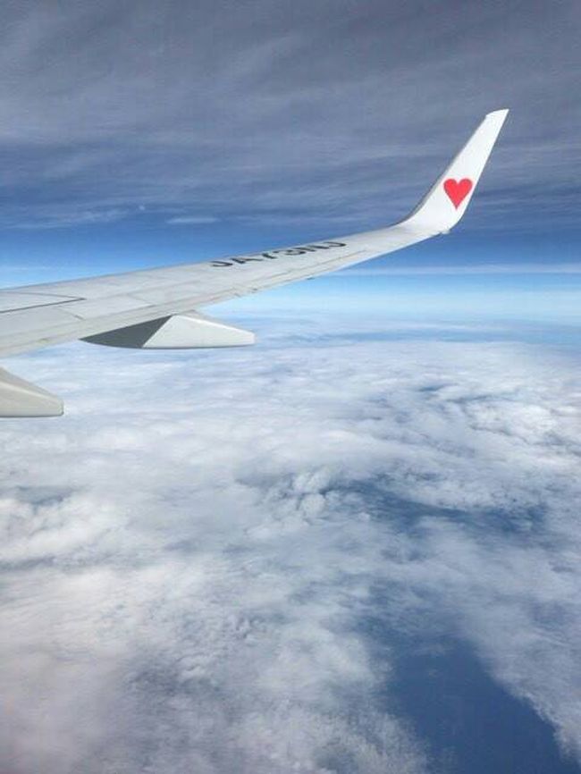 平日2日間の休みが取れどこかに安く行きたいなと各社HPを探っていると中部国際空港発着のスカイマークが8000円ほど…<br />愛知出身兵庫在住の自分は日頃関西国際空港からpeachやjetstarを利用しているため値段的は魅力は低いですが、それでもJALやANAに比べては安い運賃です。<br /><br />2016年JALのマイル修行で6回ほど沖縄へ行きましたが毎回那覇のみの滞在だったため今回思い切って沖縄へ!<br />そして去年することのなかった沖縄本島の北への旅へ行ってきました!