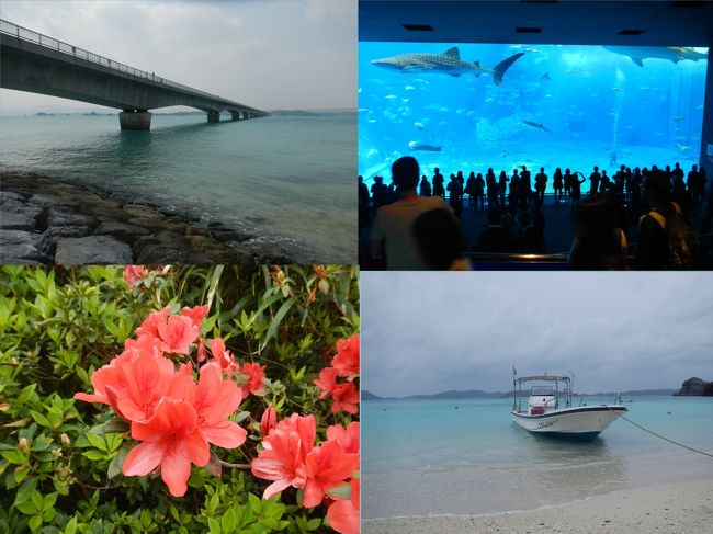 冒頭の写真は、古宇利大橋、美ら海水族館、渡嘉敷島のケラマツツジ、阿波連ビーチです。<br /><br />花粉症対策とJALマイレージを活用して沖縄へ行き、沖縄本島周辺の島々を巡りました。<br /><br />沖縄本島に3泊した後、慶良間諸島の渡嘉敷島へ移動し、1泊してから帰ってきました。<br /><br />沖縄本島に着いた日は、ゆいレールの一日券(700円)で牧志公設市場やおもろまちなどを観光しました。<br />琉球ダイニング松尾 (御菓子御殿 国際通り松尾店)で沖縄料理の夕食、沖縄三線生ライブ付き<br />二日目は、バスターミナルから那覇交通の観光バスで美ら海水族館での滞在をメインに、古宇利大橋、今帰仁城跡、ナゴパイナップルパークなどを見学しました。<br />三日目はレンタカーを借りて、東海岸の海中道路などを巡りました。<br />四日目は高速艇で渡嘉敷島へ行き、ホテルの軽レンタカーで島巡りをしました。<br />五日目は予定の高速艇が高波のため欠航となり、夕方のフェリーで那覇に戻り、飛行機も遅い便に変更してもらいましたが、羽田も強風が吹いていたので、到着が深夜の12時頃になってしまいました。<br /><br />島巡りは、沖縄本島、奥武島、屋我地島、古宇利島、藪地島、平安座島、浜引嘉島、宮城島、伊計島、渡嘉敷島 の10島です。<br />沖縄本島:東シナ海に浮かぶ島のひとつ<br />奥武島: 沖縄本島北部にある島で名護市に属する。本島と屋我地島の間にありいずれも橋で結ばれているが無人島。<br />屋我地島: 沖縄本島北部にある島で名護市に属する。本島と奥武島と橋で結ばれている<br />古宇利島:沖縄県国頭郡今帰仁村に属する島で、沖縄本島北部にある屋我地島の北に位置する<br />藪地島:沖縄県うるま市に属する無人島<br />平安座島:沖縄県うるま市に属する与勝諸島を構成する島<br />浜引嘉島:沖縄県うるま市に属する宮城島と橋で繋がっている島<br />宮城島:沖縄県うるま市に属する与勝諸島を構成する島<br />伊計島:沖縄県うるま市に属する与勝諸島を構成する島<br />渡嘉敷島:那覇の西方約30kmに位置し、慶良間諸島の東端にある。<br /><br />与勝諸島:沖縄本島中部東海岸から太平洋に突き出した半島の先にある島々<br />北より伊計島(いけいじま)、宮城島(みやぎじま)(別称高離(たかはなり))、平安座島(へんざじま)、浜比嘉島(はまひがじま)、藪地島(やぶちじま)、浮原島(うきばるじま)、南浮原島、津堅島(つけんじま)の8島からなる諸島。<br /><br />