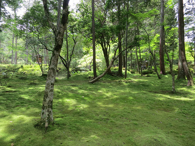 自転車で苔寺・鈴虫寺と松尾大社を巡ってきました