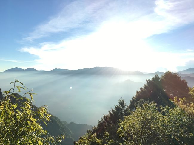 今回の旅のチャンスには熊野古道に行くつもりでしたが、交通費 宿泊費の高さにひるみ、気づいたら、台湾の阿里山に向かっていました。<br /><br />台北IN 高雄OUT、阿里山をメインに台北・台南・高雄で食事を堪能する、台湾縦断の旅。<br /><br />出発が3時間遅れるという LCCの洗礼をいきなり受け、先が思いやられましたが、その後は極めて順調。お天気にも恵まれ、5回目の台湾も大満足な旅となりました。<br /><br /><br />6/5 成田発桃園行き JW101便、MRTで台北<br />      富藝旅台北大安（Folio Daan Taipei ）泊<br />6/6 高鐵で台北から嘉義、バスで阿里山 <br />      萬國別館 （Wankou Hotel）泊<br />6/7 バスで嘉義、台鐵で台南経由 高雄<br />      樂逸旅居（LA INN）泊<br />6/8 08:15高雄発成田行き JW130便<br /><br /><br />台北・台南・高雄編<br />https://i.4travel.jp/travelogue/show/11250705<br />