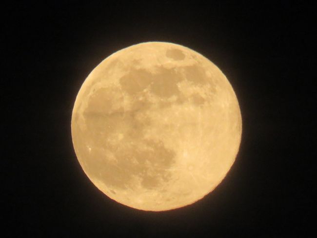 6月9日、午後7時25分頃から黄金色の満月が見られた。　9日の満月は今年一年で地球から最も離れ、一番小さく見えるとのこと。<br /><br /><br />注)ストローベリームーンとは米国でイチゴの収穫時期に見えることからつけられた呼び名<br /><br /><br />*写真は見られた満月
