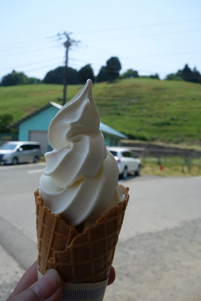 【2017年】大霧山から生育不良の天空のポピーを目指す、主役は牧場のソフトクリーム