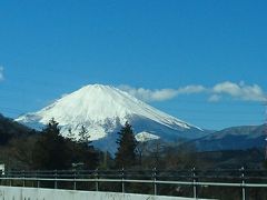 いざ浜松へっ　単なる手術手記　⇒　のはずが、どっぷりたっぷり旅行記に！！　　【後編】なり