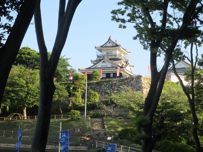 犬山、伊勢、高野山の旅、5日目、東京へ帰る途中、休憩を兼ねて浜松で1泊しました。<br />朝の散歩で浜松城公園を散策、朝食後は浜松フラワーパークを訪れました。