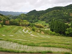 初夏の鴨川大山千枚田