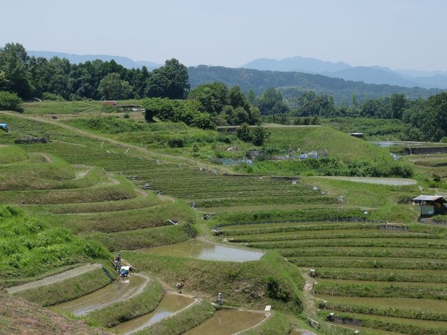 東京から日帰りで全都道府県めぐりの第42回目は大阪府です。<br /><br />大阪は主に環状線の内側にある中心地やのほかは基本的に住宅街。<br />なので日帰り観光といったら、大坂城・道頓堀・通天閣・あべのハルカスに行って、たこ焼きやお好み焼きを食べたり、よしもとを見に行く、あるいはUSJに行く、というのが定番なのかもしれません。<br /><br />だがしかし、今回のメインは「村」。<br />大阪にただ一つしかないという村、千早赤阪村へ行ってみました。<br />棚田とか、ロープウェイなどがあるみたい。<br /><br />今回はこのような行程になりました。<br /><br />6:00 東京駅<br />　↓JR新幹線のぞみ1号<br />8:22 新大阪駅<br />8:29 新大阪駅<br />　↓JR京都線<br />8:33 大阪駅<br />8:39 大阪駅<br />　↓JR関空快速<br />8:56 天王寺駅<br />9:04 大阪阿部野橋駅<br />　↓近鉄南大阪線準急<br />9:35 富田林駅<br />9:50 富田林駅前<br />　↓バス<br />10:12 水分（すいぶん）神社口<br />10:12-10:25　建水分神社・南木神社<br />10:36-11:08　楠公産湯の井戸・楠公誕生地・千早赤阪村立郷土資料館<br />11:36-11:52　下赤阪の棚田<br />12:13（時刻表は12:08）　赤阪中学校<br />　↓バス<br />12:33　千早ロープウェイ前<br />12:42　金剛山ロープウェイ<br />13:09-15:30　ちはや園地<br />　13:22　香楠荘でお風呂とランチ<br />　14:41　ちはや星と自然のミュージアム<br />15:55　千早ロープウェイ前<br />　↓バス<br />15:58 鱒釣り場前<br />16:00-16:50 鱒を堪能＠千早川マス釣り場<br />16:58 鱒釣り場前<br />　↓バス<br />17:38 富田林駅前<br />17:45 富田林駅<br />　↓近鉄長野線準急<br />17:51 古市駅<br />17:54 古市駅<br />　↓近鉄南大阪線急行<br />18:12 大阪阿部野橋駅<br />18:23 たこ焼きを堪能<br />18:41-19:48　あべのハルカス展望台「ハルカス300」<br />20:00 天王寺駅<br />　↓大阪市営御堂筋線<br />20:22 新大阪駅<br />20:37 新大阪駅<br />　↓JR新幹線ひかり538号<br />23:26 東京駅