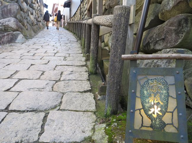 ご覧いただきありがとうございます。<br /><br />前回は、三大清流の一つ長良川に沿って走る長良川鉄道・越美南線に乗り、修行をしながら長閑なローカル風景と雪景色を堪能しました。<br /><br />おかげさまで、修業(2時間立ち・空腹に耐える・水分の調整)を無事に終えることができました。(足腰は痛かったですが…)<br /><br />後編では、郡上市の中心地である八幡町(通称:郡上八幡)の散策と美濃加茂市(美濃太田駅)の宴をご紹介いたします。