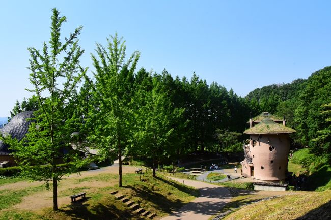 2017関東のなつかし風景あるく旅vol.2（あけぼの子どもの森公園）