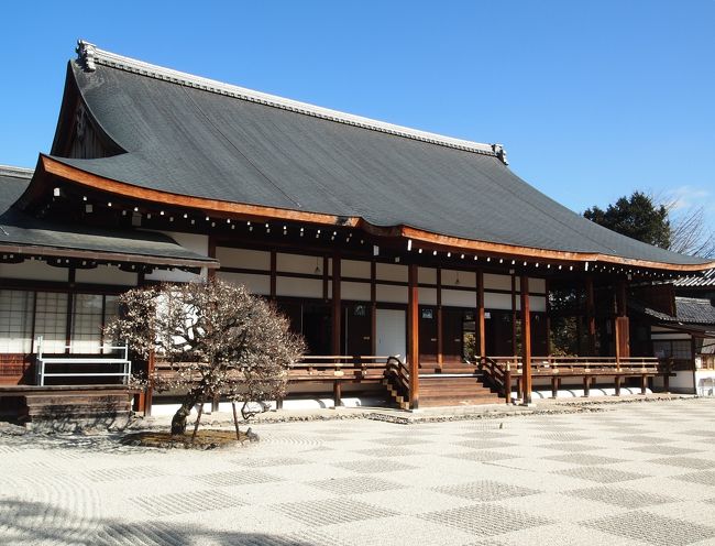 冬の京都ひとり旅【８】三日目・京都熊野神社・須賀神社・聖護院・平安神宮