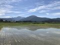 六日町・浦佐の旅行記