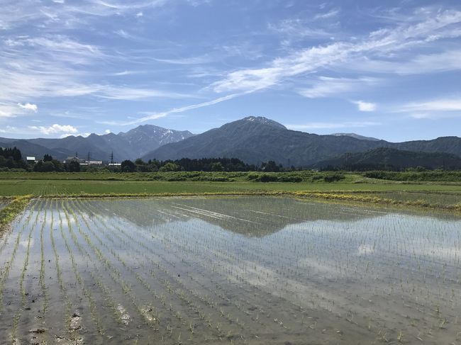 新潟で開催された南魚沼グルメマラソン大会に参加しました。<br />ちょうど梅雨入りの蒸し暑い時期に行われることもあり<br />過酷なレースになることを覚悟していましたが、<br />自然豊かなコースは走っていてとても心地良かったです。<br />一方、もう１つのイベントであるレース後の<br />コシヒカリ食べ放題グルメイベントは、<br />行列が酷すぎて楽しめませんでした。