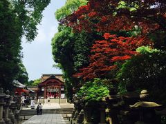 竹に圧倒された石清水八幡宮と松花堂庭園