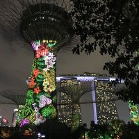 シンガポール/美味さ異常なし！定番新嘉坡飯で炭水化物祭＠ヒルトンシンガポール( 2017年6月)