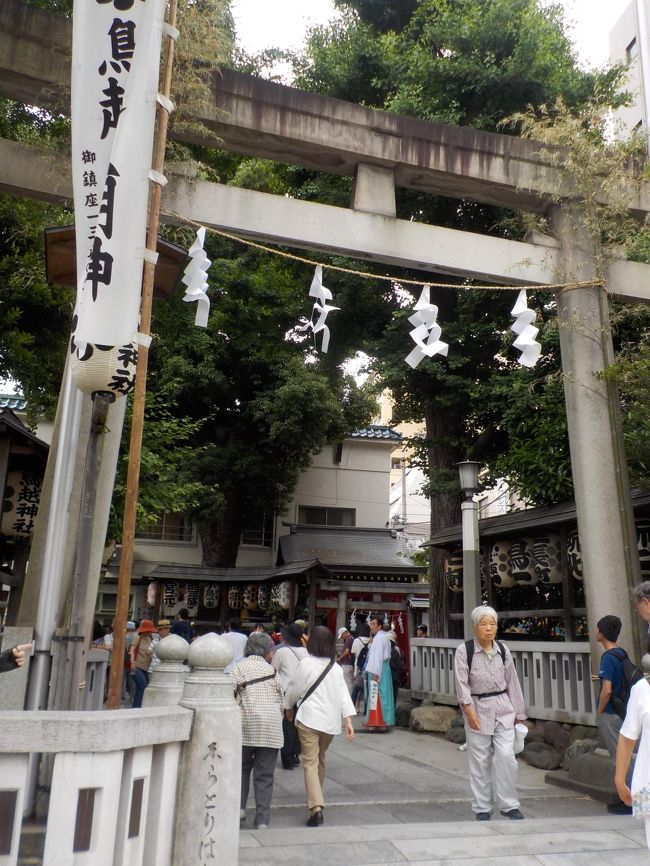 鳥越祭り<br />千貫神輿を見て見ようと行きました。<br />やはり、立派で、一回り大きかった。<br />案内図は、配布していると思いましたが、ありません。<br />ところで、家の前に貼ってありました。<br />時間と場所を探して会うのが大変でした。<br />夜、19時30分からの、宮入りは良かった。場所取りは、鳥居前は、1時間前からです。