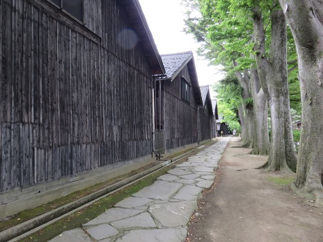 江戸時代に北前船の寄港地だった酒田では、豪商の住まいや倉庫群を見て歩きました。<br />三角屋根の倉庫やケヤキ並木も歩いてみました。