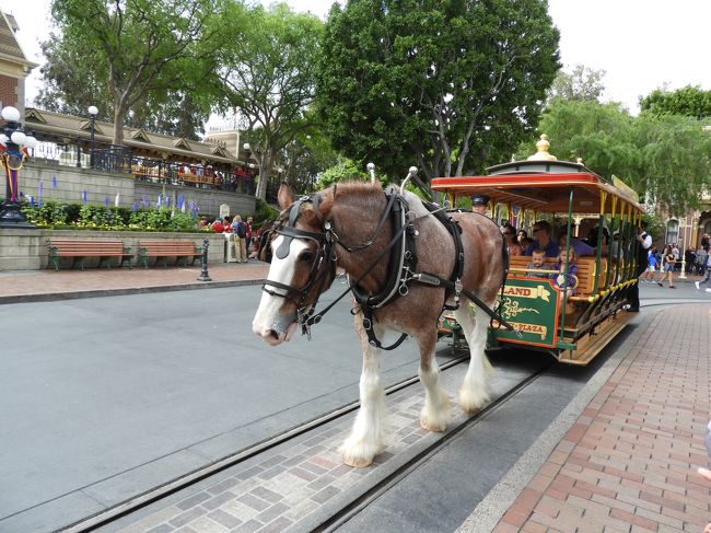 アナハイムに着いて、今日からディズニーランドとカリフォルニアアドベンチャーパークへ行くわよ。<br />前日はパークチケットを入れるホルダーをダウンタウンディズニーで調達して、子供はシンデレラが好きなのでドレスを<br />着てパークへ行きました。