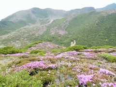 久住山系のミヤマキリシマはどの山でも素晴らしい!