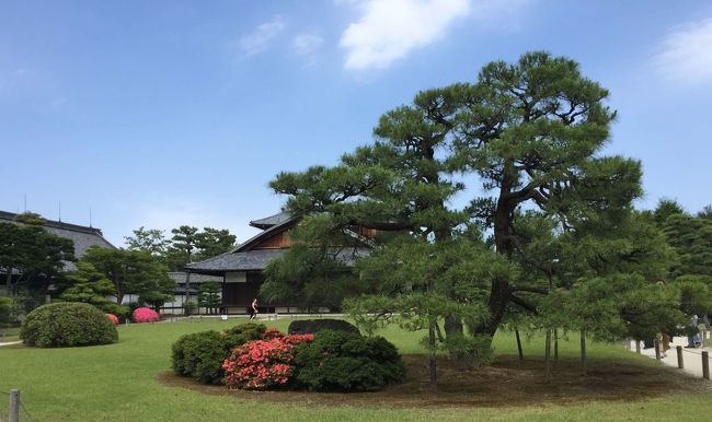 週末京都に一泊二日で訪れました。<br />初日は最高気温32度と暑かったですが、<br />時折爽やかな風が吹き、楽しく観光できました。