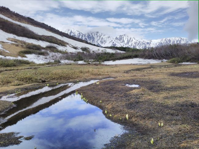 　最近は旅といえば専ら船旅。山とは疎遠になっていたので、北アルプスの山々を眺めたくなり、マイカーで一路安曇野方面に向かい1泊2日のクルマ旅に行き、北アルプスの雄大な自然に心癒される旅となりました。<br /><br />学生時代はワンダーフォーゲル部に所属し、登山に熱中していた頃もありましたが、社会人となってからはトンとご無沙汰です。<br />今は登山靴も登山用品もなく、北アルプスの大自然に触れ合うのが目的で登山の装備もなく何と普段着で出掛けました。<br />宿泊先は今迄泊まってみたいと思っていた憧れの「白馬東急ホテル」。<br />上高地の帝国ホテルと同じように大自然の中で一際際立っている佇まい。<br />迎賓館にいるような気分でリゾート気分を味わえました。<br /><br />この辺り周辺で長野オリンピックが開催され、ゴンドラやリフトが整備された恩恵で、登山の苦しみを味わうこともなく、あっという間に北アルプスの雄大な大パノラマを眺めることが出来ました。