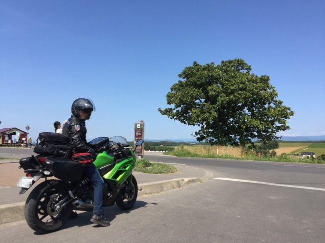 北海道の中央部の市および町である、富良野と美瑛をツーリングで訪れました。上川総合振興局に属する、平野と丘陵が連なるエリアです。CMや写真やドラマといった媒介を通じて知られるようになったこの町は、今や道を代表する観光地です。<br />★三井商船フェリー、「さんふらわあ」にてバイクと共に北海道に上陸。<br />★富良野平野と十勝岳連峰を望むペンションにて、本格イタリアンを満喫。<br />★美瑛の青い池やケンメリの木、セブンスターの木など、彼の地を知らしめたシンボルを巡るツーリング。