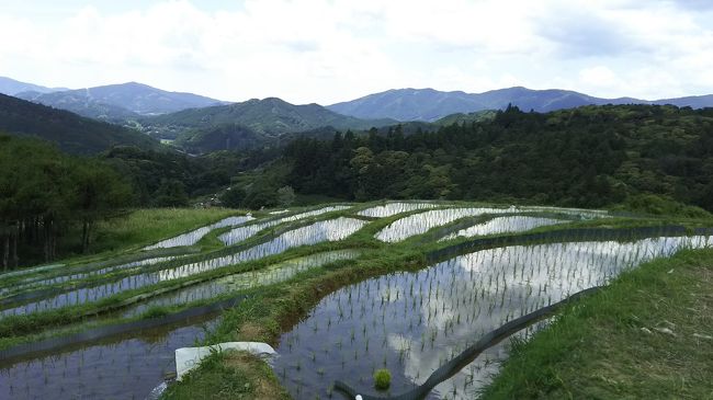 今年の大河ドラマ「女城主 直虎」ゆかりの地、浜松。<br />わが地元は直虎一色です。<br /><br />でも私、大河ドラマ見てないんです(^^;<br />残念ながら。<br /><br />この前テレビで直虎の特集をやっていて、ロケ地に浜北区にある棚田が使われたんだとか。<br />浜松市にも棚田があるのを初めて知りました。<br /><br />最近、棚田には興味がある私。<br />棚田は愛知県新城市の四谷の千枚田と、静岡県菊川市のせんがまちの棚田を見に行ったことがあります。<br />今回で3つめ。<br />この時期の水を張った棚田って素敵ですよね。<br /><br />棚田を満喫したあとは里山の古民家カフェに寄り、のんびりまったり。<br />せっかくなので、もう１ヶ所直虎ゆかりの地「井伊谷城跡」も訪れました。<br />