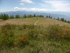 今年も山ゴハン始めました【山梨百名山】~甘利山~