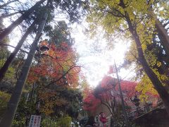 2016 初の大雄山線乗りつぶしと箱根【その１】大雄山へ