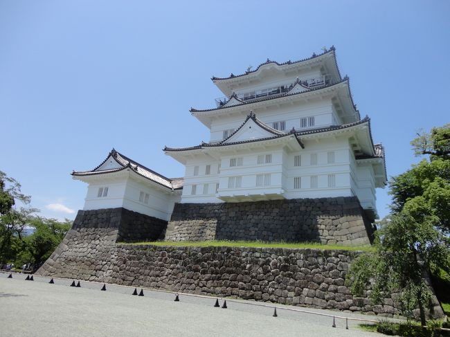 今年4月に予定時間の3倍近い7時間も時間がかかった手術を受けました。それ以来、手術部以外の痛みもあり体を動かすことができていませんでした。そのため、リハビリを兼ねて、超初心者コースのさわやかウォーキングに参加してきました。<br />全行程2km、通常歩行で約30分のコースでしたが、予定よりも1時間もかかってしまいました。以前の体の状態には、まだまだほど遠いと感じました。<br /><br />さわやかウォーキング後は、折角なので、帰る途中に熱海の来宮神社、三島の三島大社に立ち寄って病気平癒を祈願してきました。