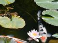 関の旅行記