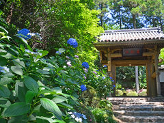 ブラリ旅・北浜名湖 2017.06.15 1.龍潭寺・井伊谷宮