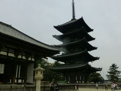 　春の奈良公園　東大寺　興福寺　のんびり散策