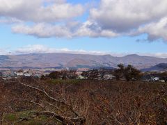 出張、函館。２５年ぶりの大雪（３、４日目：温泉、五稜郭 編）