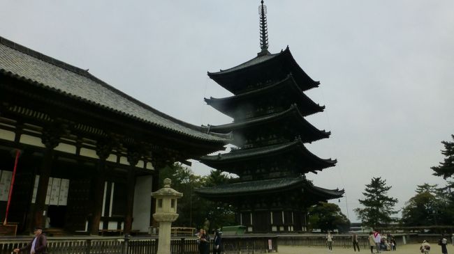 今年の桜は少し遅めで6分咲でしたが、天気が良かったので、のんびりと散策しました<br />高速餅つきで有名な餅屋さん　沢山の外国人の方が　物珍しそうに見学していました