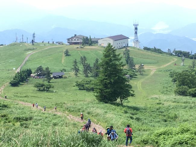 2017年6月10日<br />前の会社の同僚のお誘いで滋賀県伊吹山に登山してきました。<br />ネットなどの情報でお手軽登山～♪とか書いてあり余裕でしょーと思い挑みましたが結構本気の登山でした(^^;;<br /><br />近畿で唯一の百名山であり、道中はお花畑があちこちにあり、さすが花の百名山と言われるだけあります。<br />梅雨の中休み、天気にも恵まれて登山日和の一日となりました。