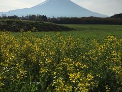 2017年GW 静岡の旅【７】朝霧高原、田貫湖