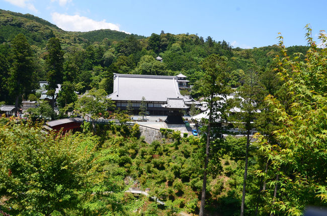 特に何処へ行こうと決めたわけではありません。<br />取りあえず、東名高速に乗って西へ…。<br />暫く行っていない浜名湖北部に行ってみようとなり、三ケ日ICで下りました。そして暫く走ると龍潭(りょうたん)寺の標識が目に入りました。<br />その龍潭寺・井伊谷宮と井伊谷宮城址へ行きました。そして方広（ほうこう）寺へ…。<br />広い境内を歩き、枚数が多くなりましたので、前編・後編に分け、今回は前編です。<br /><br />★浜松市役所のHPです。<br />http://www.city.hamamatsu.shizuoka.jp/index.html<br /><br />★方広寺のHPです。<br />http://www.houkouji.or.jp/