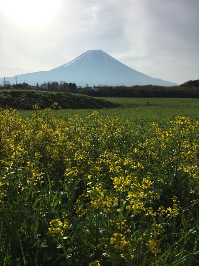 2017年GW 静岡の旅【７】朝霧高原、田貫湖