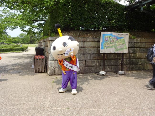 名古屋城を訪れ、あつた蓬莱軒でひつまぶしを食べ、熱田神宮を参拝しました。