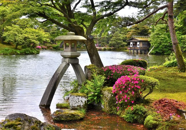 兼六園は、水戸 偕楽園や岡山 後楽園と並ぶ日本３名園の一つに数えられ、江戸時代を代表する大名庭園として歴代加賀藩主により、それぞれの時代背景や藩主の嗜好を反映して熟成されてきました。しかしそこには一貫した作庭思想があり、それが神仙思想です。日本庭園の主な作庭思想には「浄土思想」と「神仙思想」があります。前者は極楽浄土を表現し、その代表例が宇治平等院鳳凰堂庭園や平泉毛越寺庭園などです。後者は中国伝来とされ、海の彼方に３つの神山があり、そこに神仙人が住み、不老不死の霊薬があり、その薬を飲めば未来永劫の繁栄が約束されるとされます。歴代加賀藩主は、長寿と永劫の繁栄をこの庭園に投影したのです。<br />しかし兼六園を訪れたものの、さてどこにポイントを絞って見ればよいのか困惑されるのではないでしょうか？築山・林泉・廻遊式庭園とも称されるため、池や築山、御亭、茶屋の風情を個人の感性で愛でるのもいいのですが、庭園は工芸品と同様に理解し難い一面があり、ましてや兼六園は歴史も深く様々な歴史が絡み合って複雑になっています。ですから兼六園の歴史を知ることが、心に響く情景を見つける近道かもしれません。<br />前編は、途中で見学した「成巽閣」を含めてレポいたします。<br />兼六園のＨＰです。<br />http://www.pref.ishikawa.jp/siro-niwa/kenrokuen/<br />兼六園 園内マップです。<br />http://www.pref.ishikawa.jp/siro-niwa/kenrokuen/point.html<br />成巽閣のＨＰです。<br />http://www.seisonkaku.com/