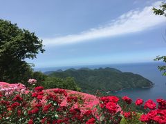 薔薇と日本海と5つの湖（三方五胡）　 レインボーライン山頂公園より